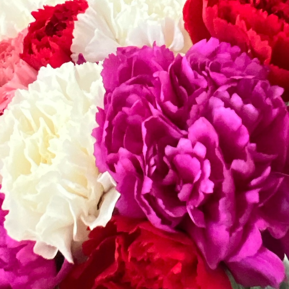 From CT to TX to AL 💙🧡💙